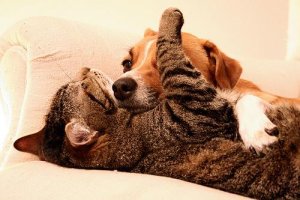 Vad du kan göra när du har svårt att lita på andra