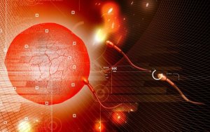 Det oönskade barnet