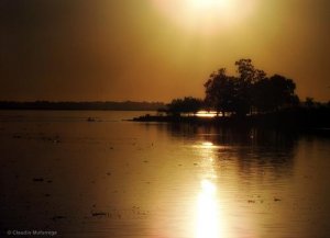 Den otroliga kraften hos fantasin