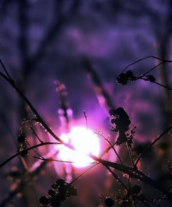 En resa in i introspektion