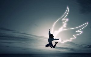 Lyckan hittas i livets galenskap