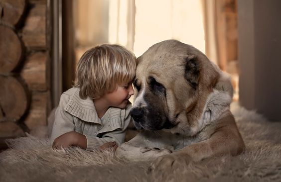 Pojke och hund