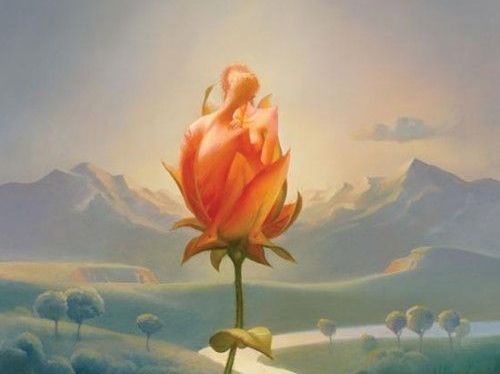 Strålande blomma