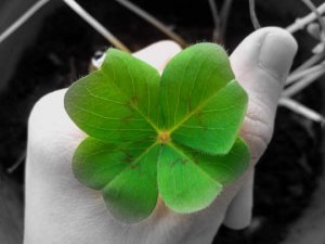 Hur man attraherar tur