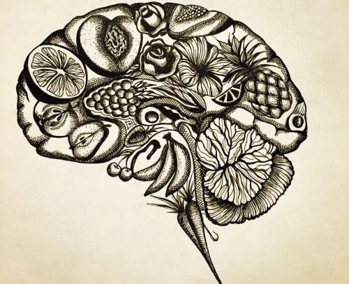 Hjärnan och våra många tankar