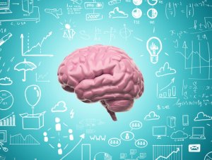 Tack vare neuroplasticitet upphör vi aldrig att lära oss