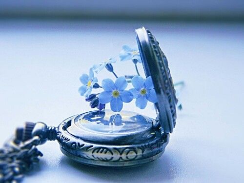 Blomma