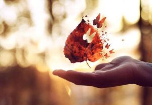 Det finns år att ställa frågor och år att hitta svar