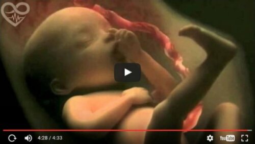Befruktning och graviditet i en fantastisk video