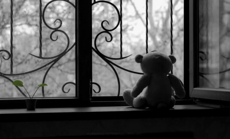 Teddybjörn i fönster