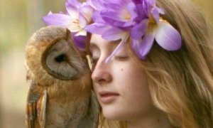 Varje början har ett slut