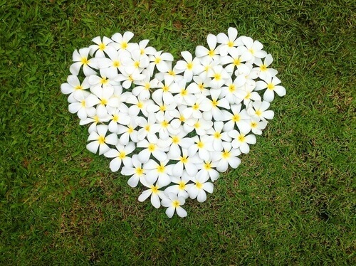 Blommor bildar hjärta