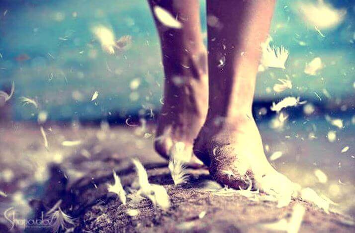 Fötter bland fjädrar