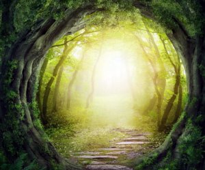 Alla har en fristad att gömma sig från stormen i