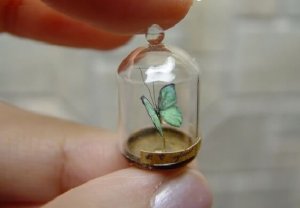 Åldern lär oss att vara mer selektiva