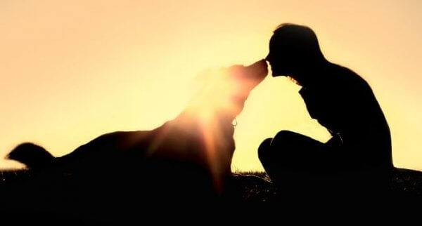 Hund och husse