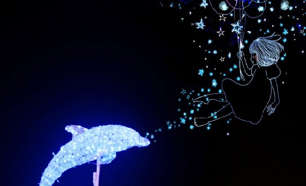 Delfin