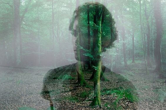 Man och skog