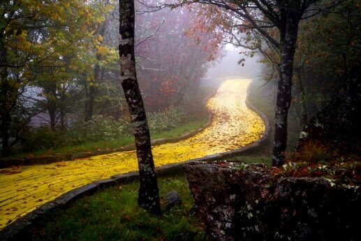 Följ den gula tegelvägen