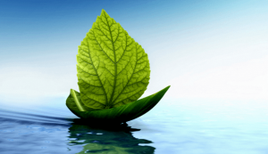 Jacobsons progressiva muskelavslappning