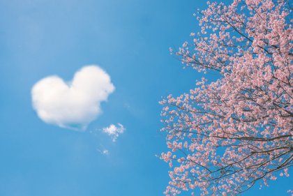 5 inspirerande kinesiska ordspråk om kärlek