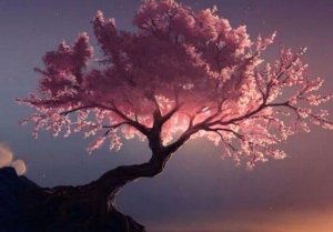 Renande trädtyper du kan dra nytta av enligt Tao