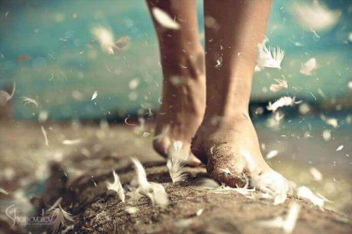 Fötter och fjädrar