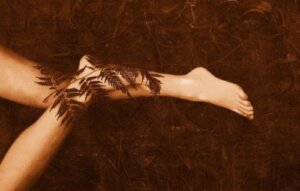 Ormbunken och bambun: En saga om hopp