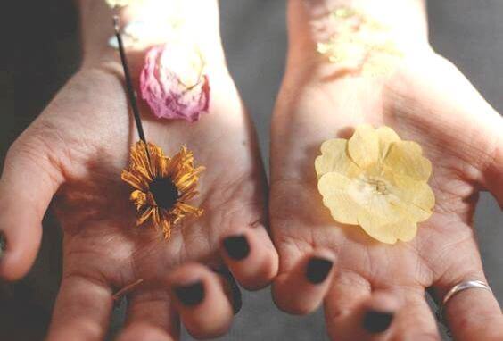 Händer med blommor