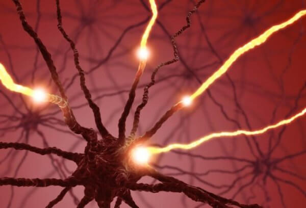 Hur njutningshormonet serotonin påverkar kroppen