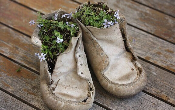 Blommor i skor