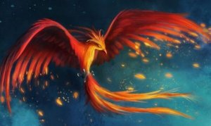 Myten om Fenix: vår fantastiska motståndskraft
