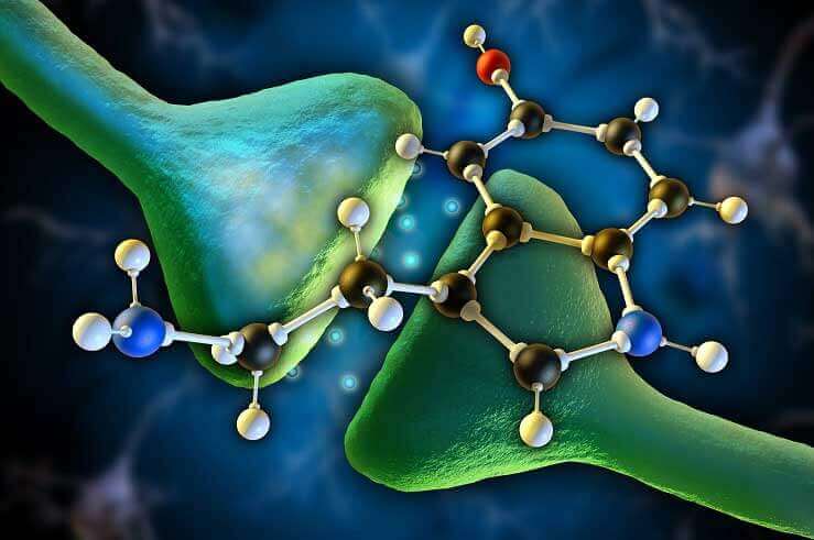 Hormonella processer