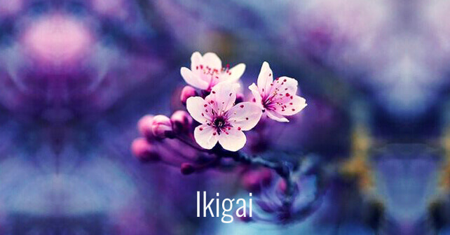 Ikigai och blomma