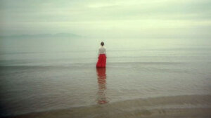 Världen tillhör de modiga