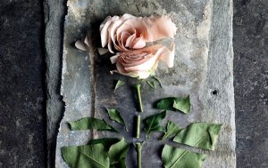 Passivt våld verkar ytligt men ger djupa sår