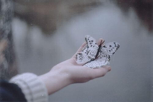 Fjäril i hand