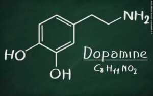 Dopamin: vad är det och vad gör det?