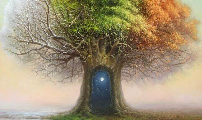 Dörr i träd som illustrerar att förtroende är livets lim