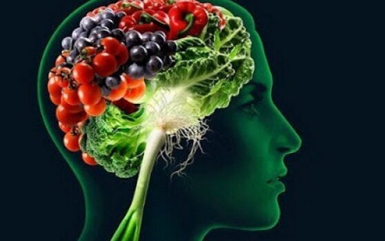 Hjärna med livsmedel