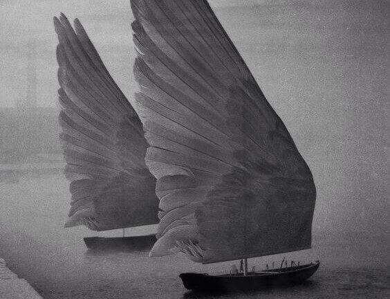 Båtar med vingar som segel