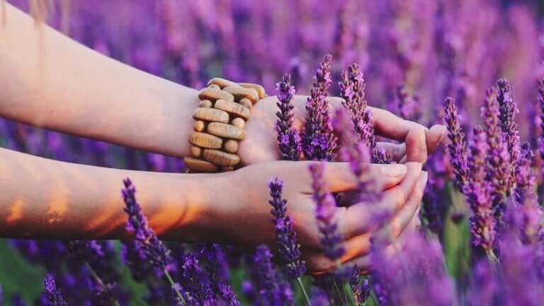 Händer bland blommor