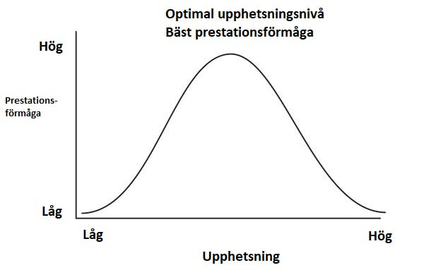 Yerkes-Dodsons lag