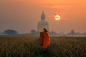 Buddhistisk psykologi: hantera smärtsamma känslor