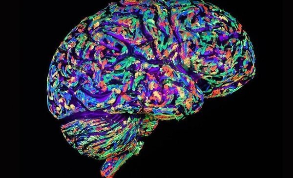 Läkemedels påverkan på hjärnan