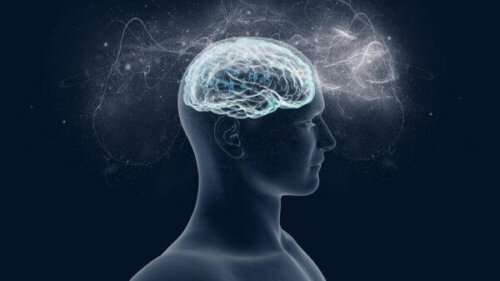 Hjärnan älskar magnesium – vi berättar varför