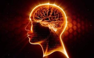 Omega-3: hjärnans bästa försvar