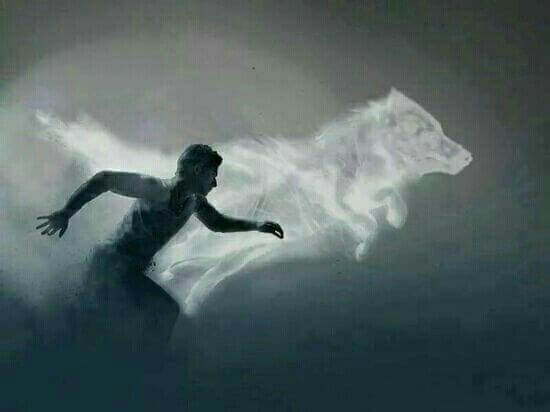 Man med varg som valt att fortsätta framåt