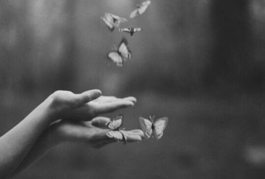 Flygande fjärilar