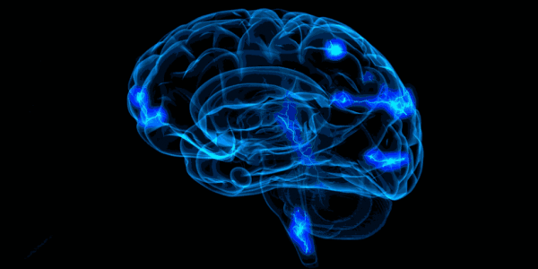 Nervkopplingar i hjärnan